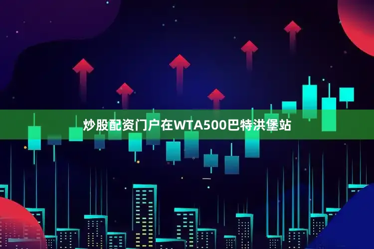 炒股配资门户在WTA500巴特洪堡站