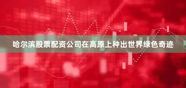 哈尔滨股票配资公司在高原上种出世界绿色奇迹