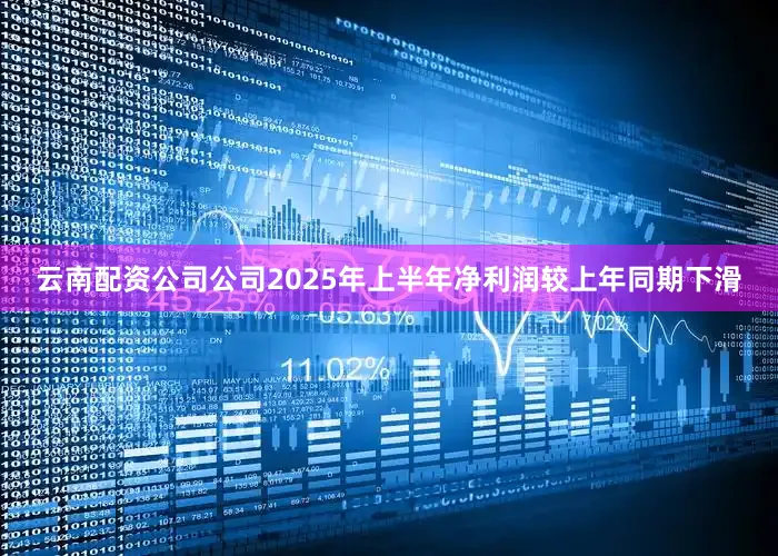 云南配资公司公司2025年上半年净利润较上年同期下滑